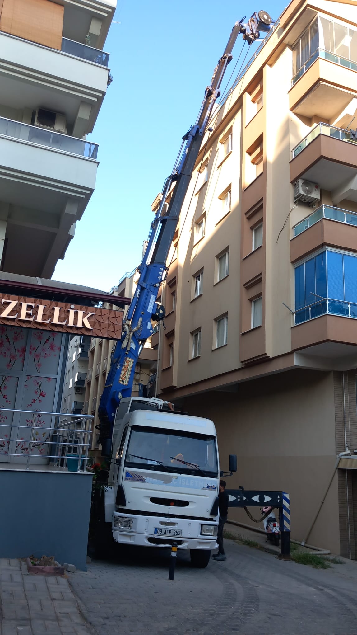 Didim'de Sepetli Vinçle Budama ve Peyzaj İşleri