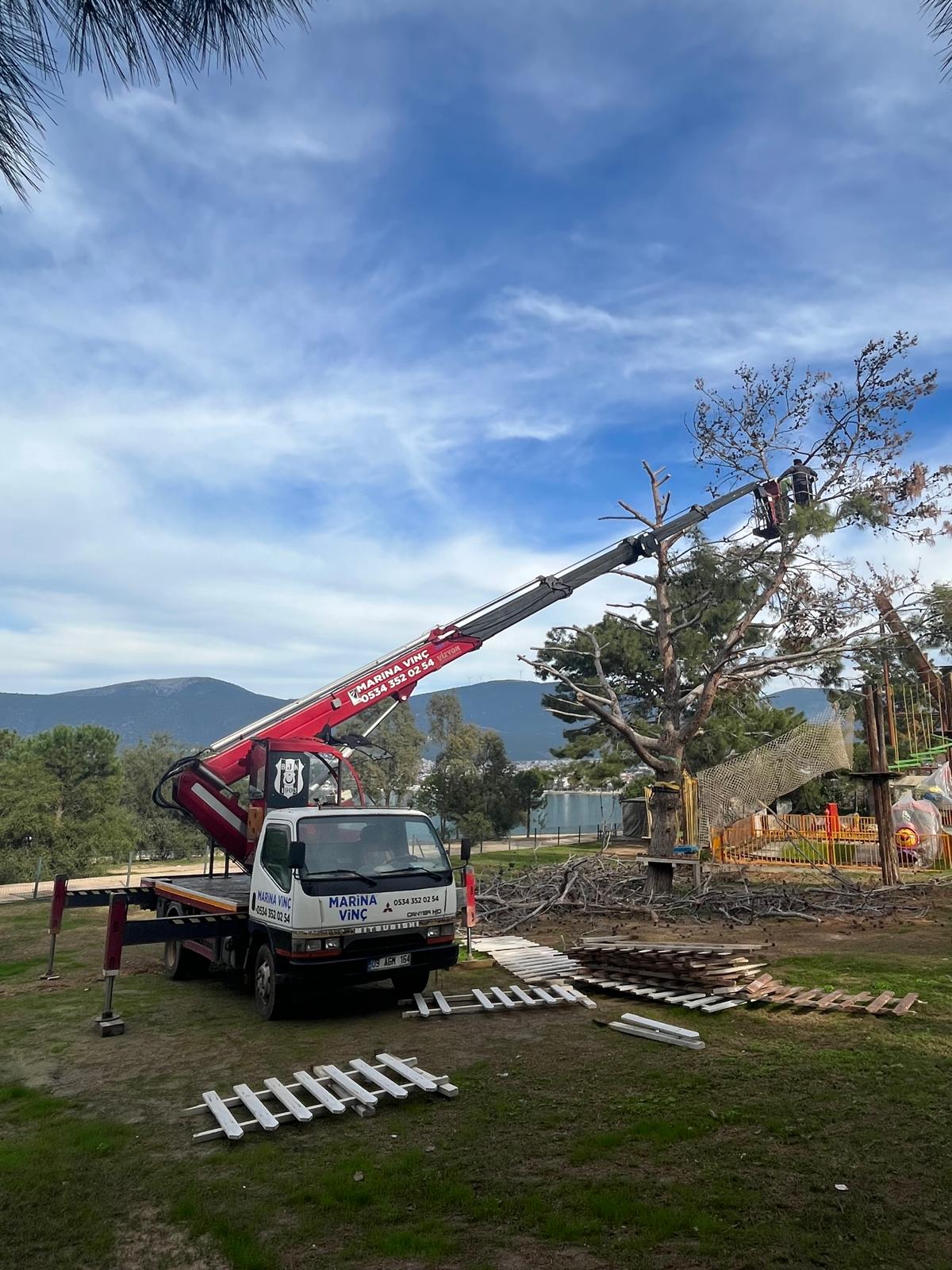 Forklift ile Tır Yükleme ve Boşaltma Teknikleri